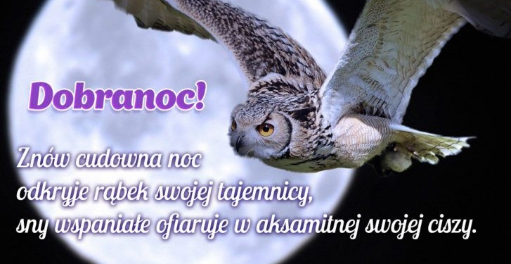 Lecąca sowa z pozdrowieniami na dobranoc